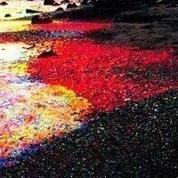 Настя Уткина