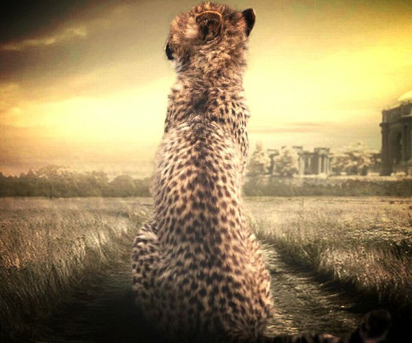 Николай Назаров