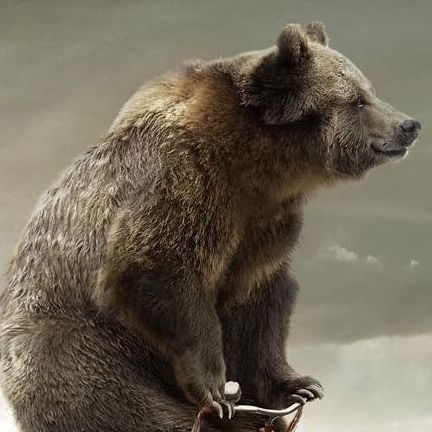 Роман Асадов