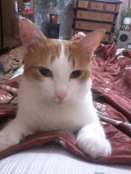 Дмитрий Ефимов