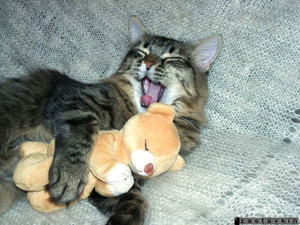 Марина Андреева