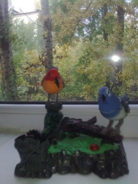 Новичкова Елена