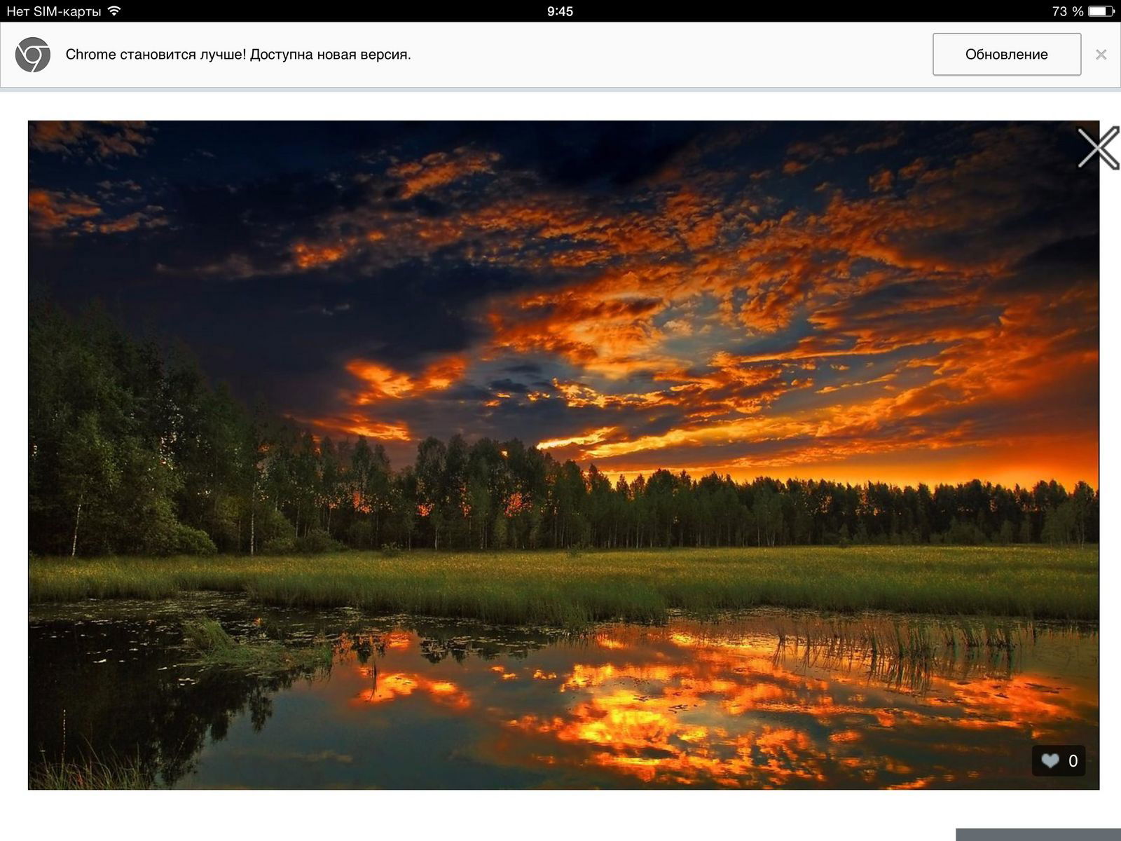 Елена Макуха