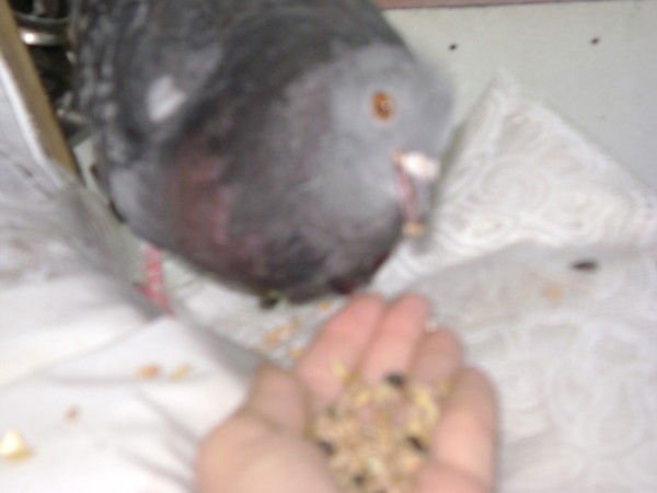 Валентина Кравцова