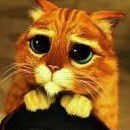 Богдан Алдошин