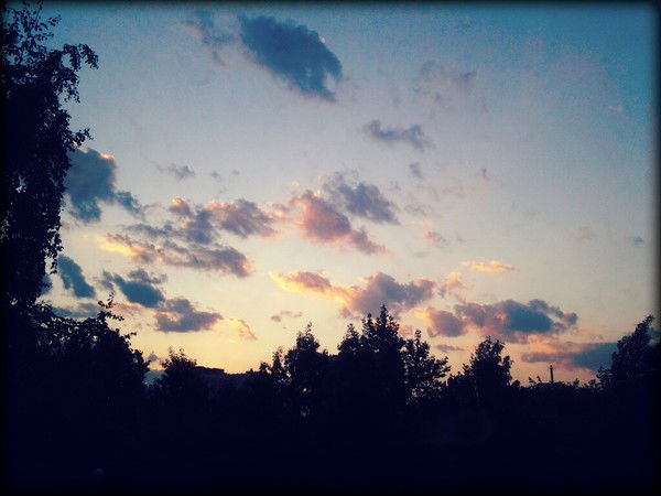 Н@ська Шустрая