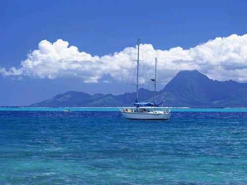 Евгений Никулин