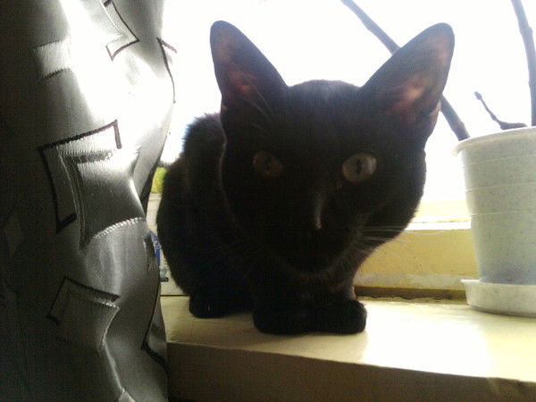 Евгения Колмакова