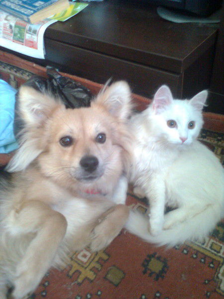 Елена Крецу (Редькина)