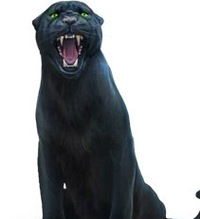 Алексей Ровин