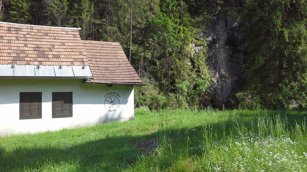 Татьяна Якушкина