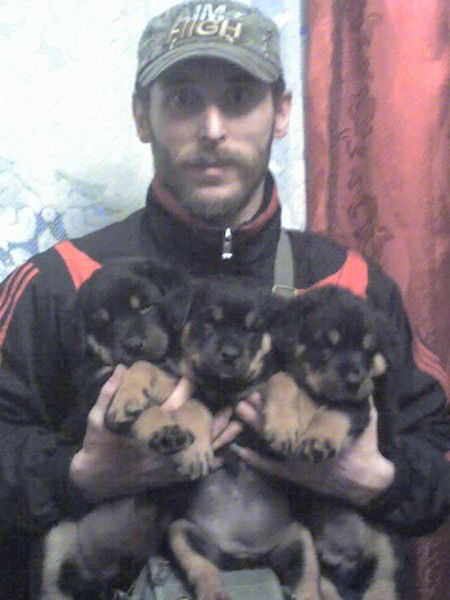 Андрей Емельянов