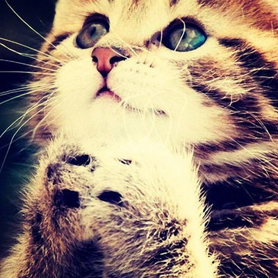 Софья Криштоф