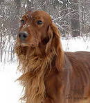 Жанна Ахрамович