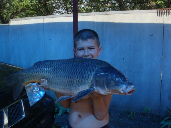 Даниил Старухин