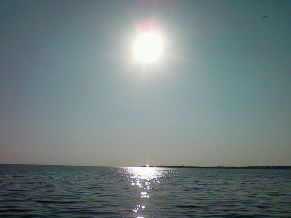 Елена Обновка