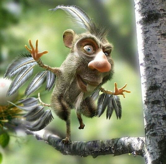 Станислав Бурдуковский