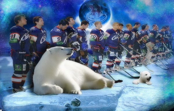 Денис Мишевич