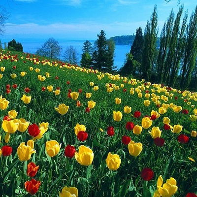 Фирая Ильясова