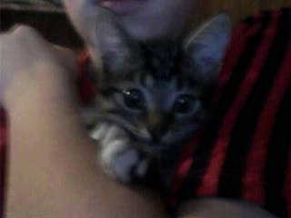 К()Лючий Петр()Ов