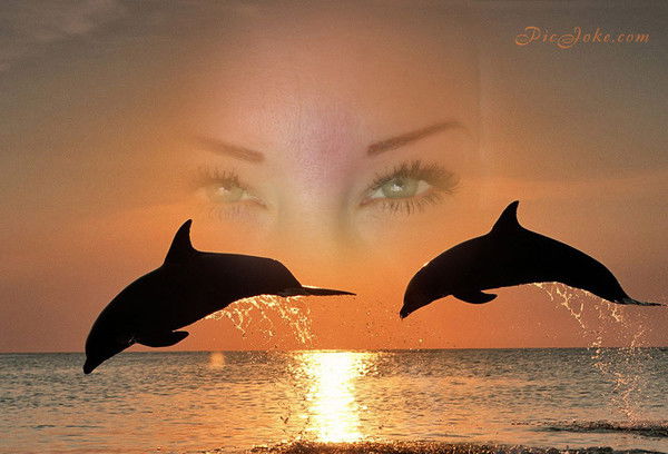 ~~~ Oxana ~~~ ~~~ Popescu ~~~