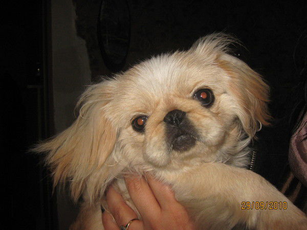 Инна Швецова