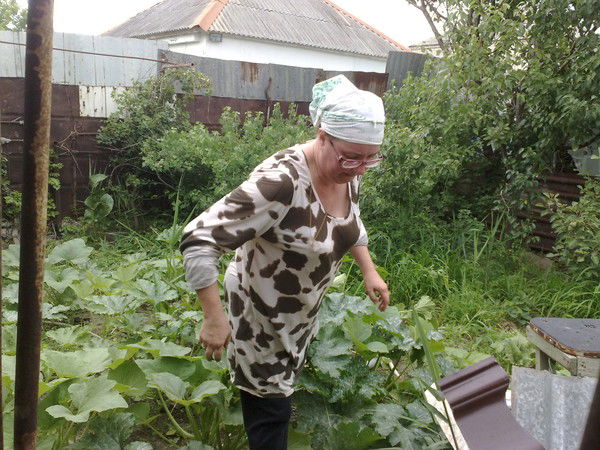 Лена Лесовая