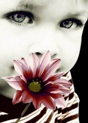 Елена Сидорова