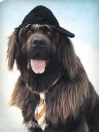 Олег Мелихов