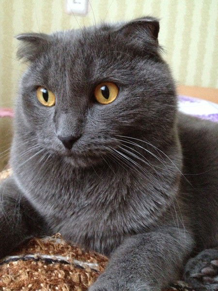 Алексей Дружков