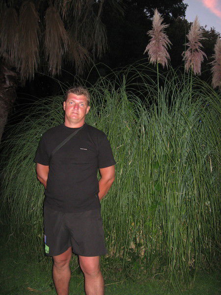 Андрей Несветаев