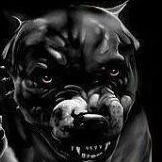 Геннадий Отрошок