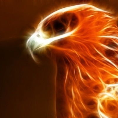 Андрей Попов