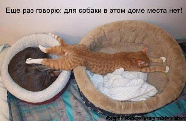 Ирина Боровко