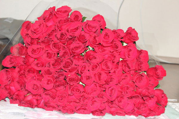 Наташа Тищенко