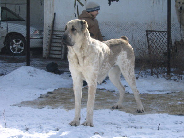 Бахтиер Нишанбаев