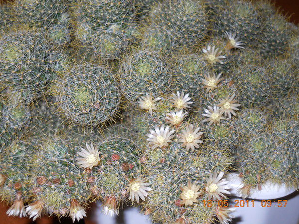 Эдуард Эдуардов