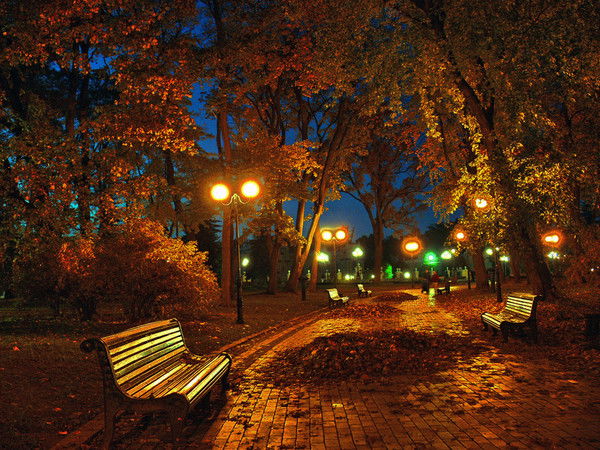 Саша Аверин