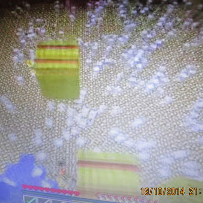 Никита Мордвинцев