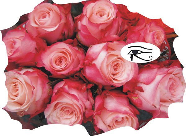 Анастасия Лукичева