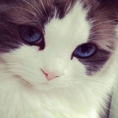 Полина Кузеванова