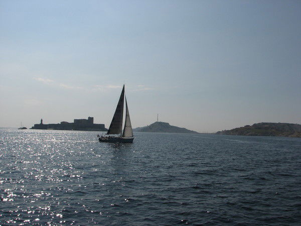 Роман Многолет