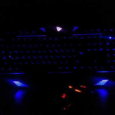 Денис Новичков