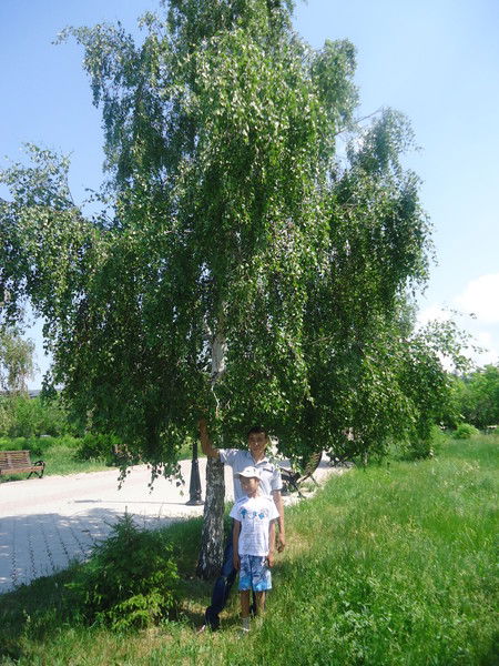 Арман Кушеров