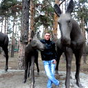 Павел Николаев