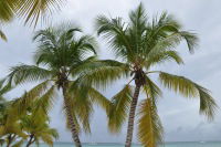 Дмитрий Белый