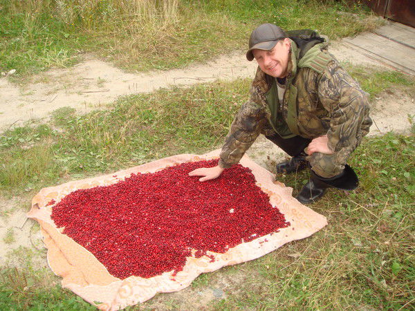 Андрей Царенко