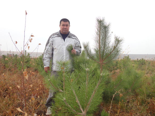 Абуталип Сарманов