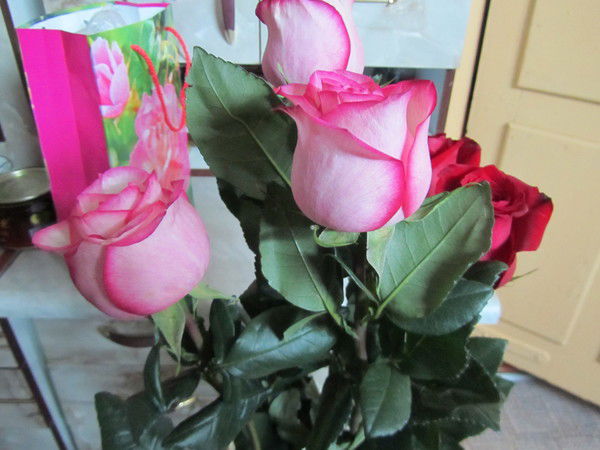 Валентина Вишнякова