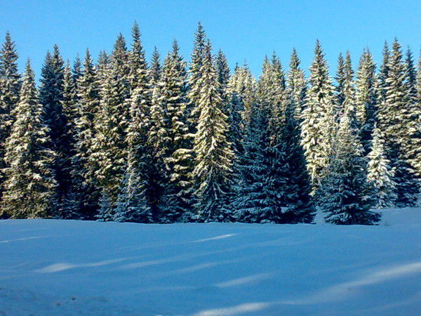 Александр @@@@@